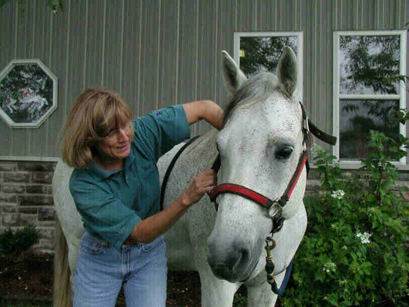 animal chiropractor