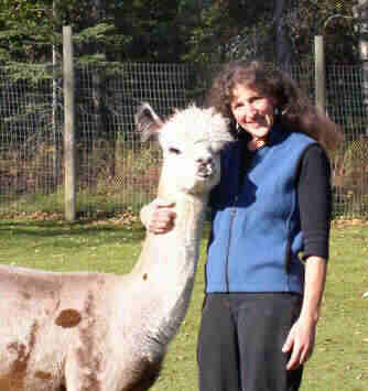alpaca