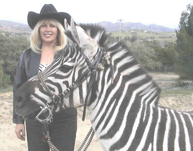 zebras